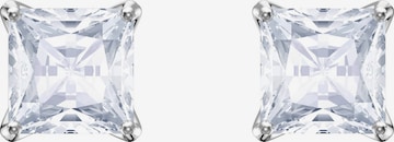 Swarovski Earrings 'Attract' in Silver: front