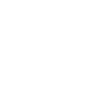 Vivisence Logo