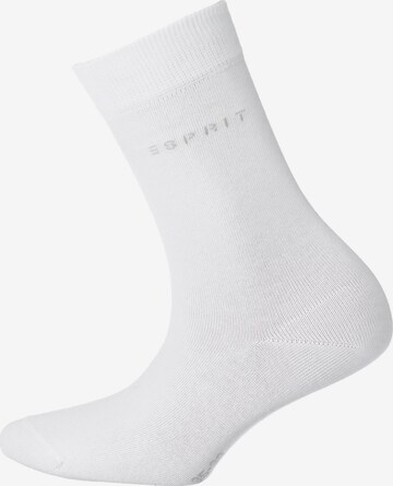 ESPRIT Socken in Weiß: predná strana