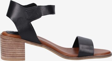 Kickers Sandals in Black