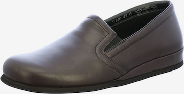 ROHDE Classic Flats in Brown: front