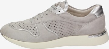 SIOUX Sneaker in Grau: predná strana