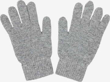 ABOUT YOU Full Finger Gloves 'Anja' in Grey: front