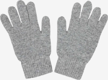 Gants 'Anja' ABOUT YOU en gris : devant