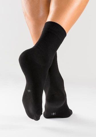 H.I.S Socken in Schwarz