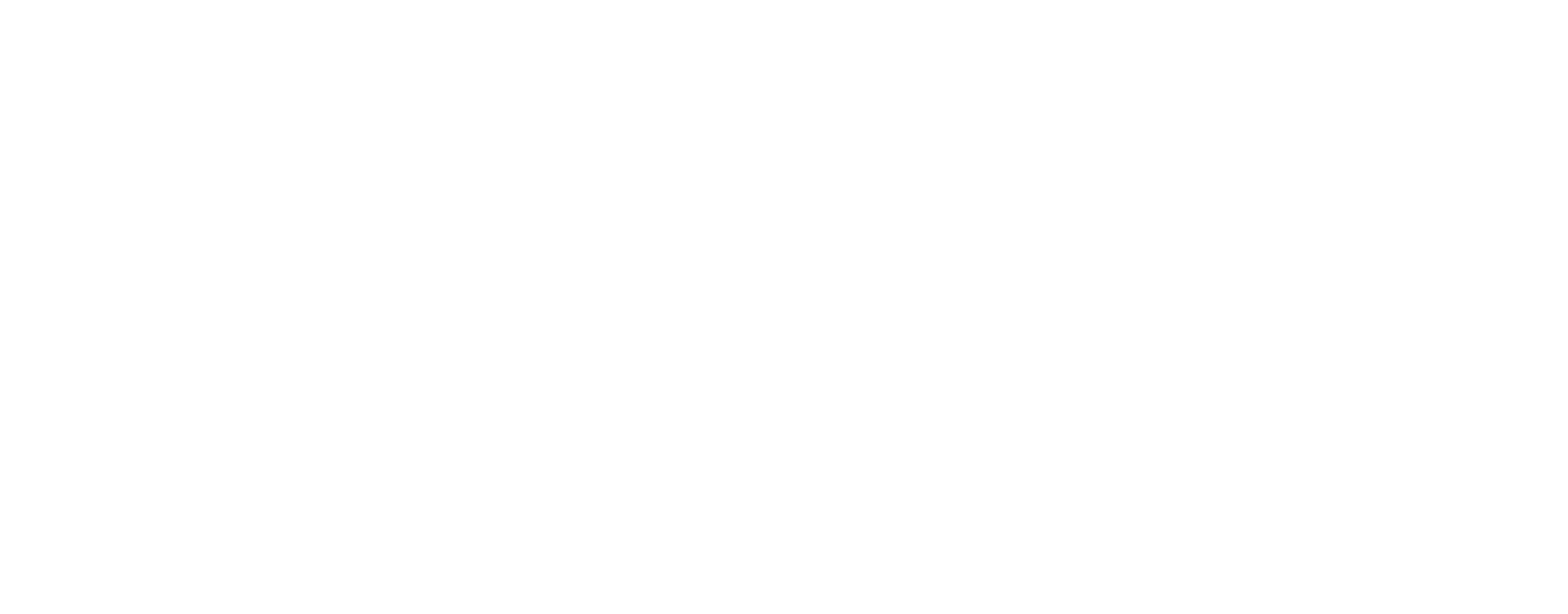SUPERFIT Logo
