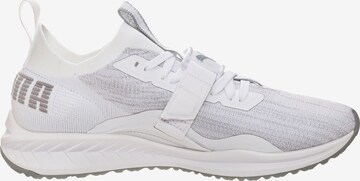 PUMA Sneaker 'Ignite evoknit' in Grau