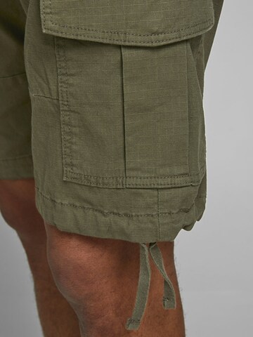 JACK & JONES Regular Shorts in Grün