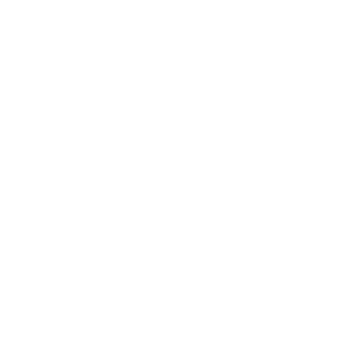 brx by BRONX Logo