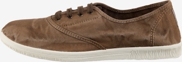 natural world Lace-Up Shoes in Brown: front
