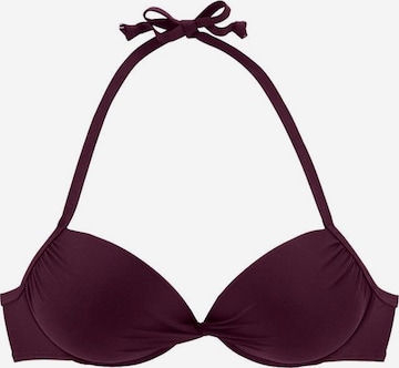 LASCANA Bikini top 'Kati' in Purple: front