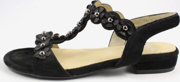 ARA Sandals in Black