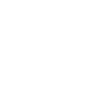 BIDI BADU Logo