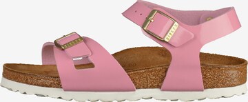 Sandales 'Rio' BIRKENSTOCK en rose