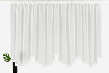 MY HOME Curtains & Drapes in White: front