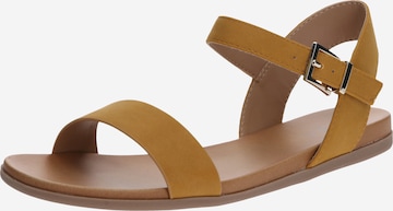 CALL IT SPRING Sandal 'KASSIAN' in Brown: front