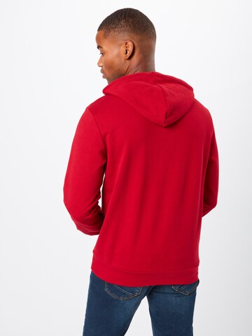 s.Oliver Sweatshirt in Rot: zadná strana