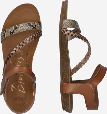 Blowfish Malibu Sandalen met riem 'Goya' in Bruin