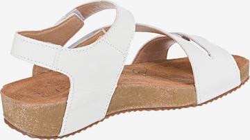 JOSEF SEIBEL Sandals 'TONGA' in White