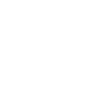 AIGLE Logo