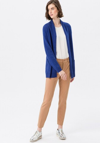 Peter Hahn Gebreid vest in Blauw