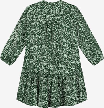 Shiwi Kleid in Grün