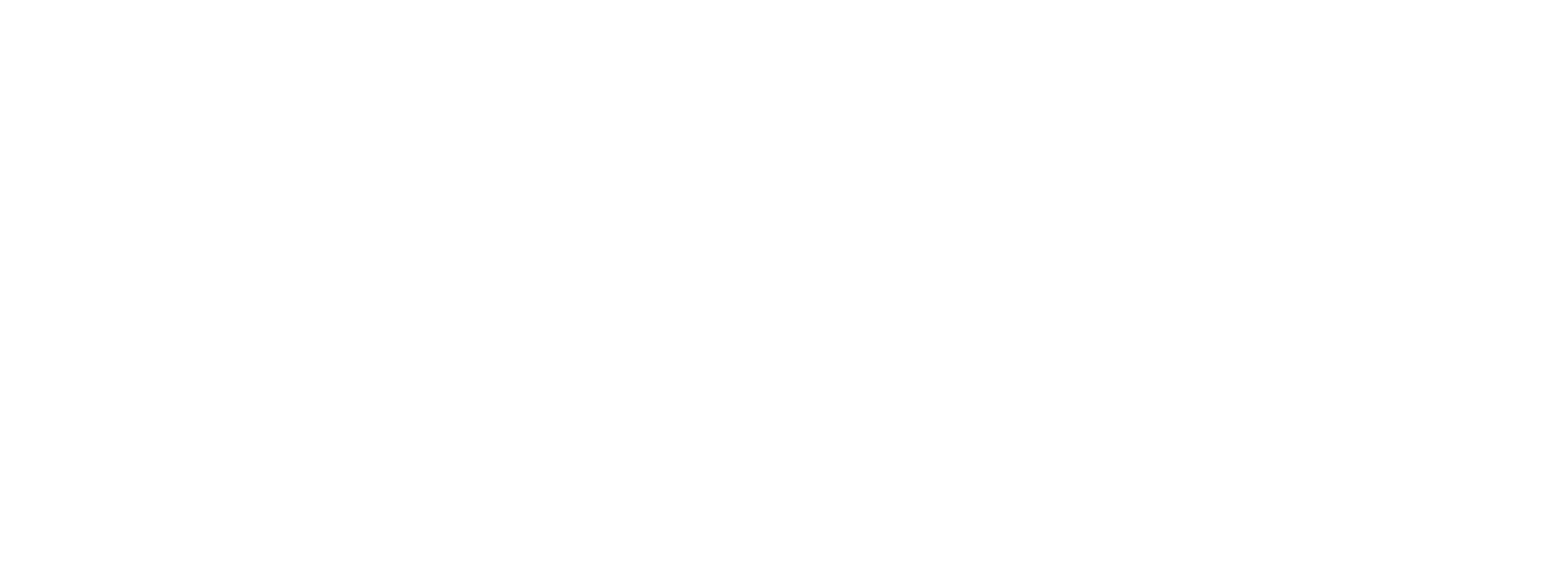 BRAX Logo