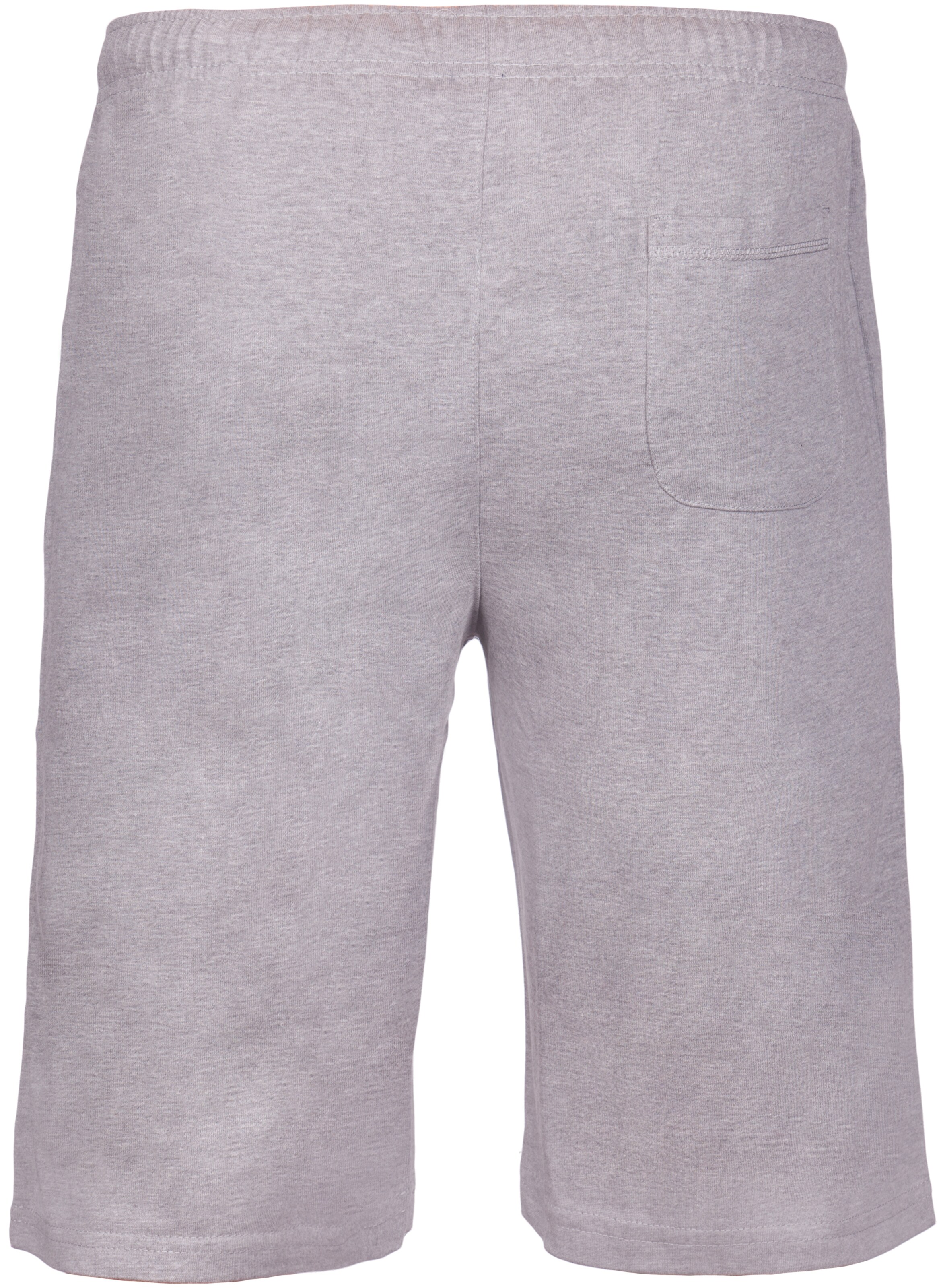 Regular Pantalon de sport 'Spinks' Benlee en gris