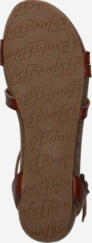 Blowfish Malibu Páskové sandály 'GALIE' – hnědá