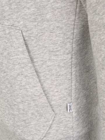 PUMA Sportief sweatshirt in Grijs