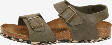 Sandales BIRKENSTOCK en vert