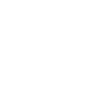 NORSE PROJECTS Logo