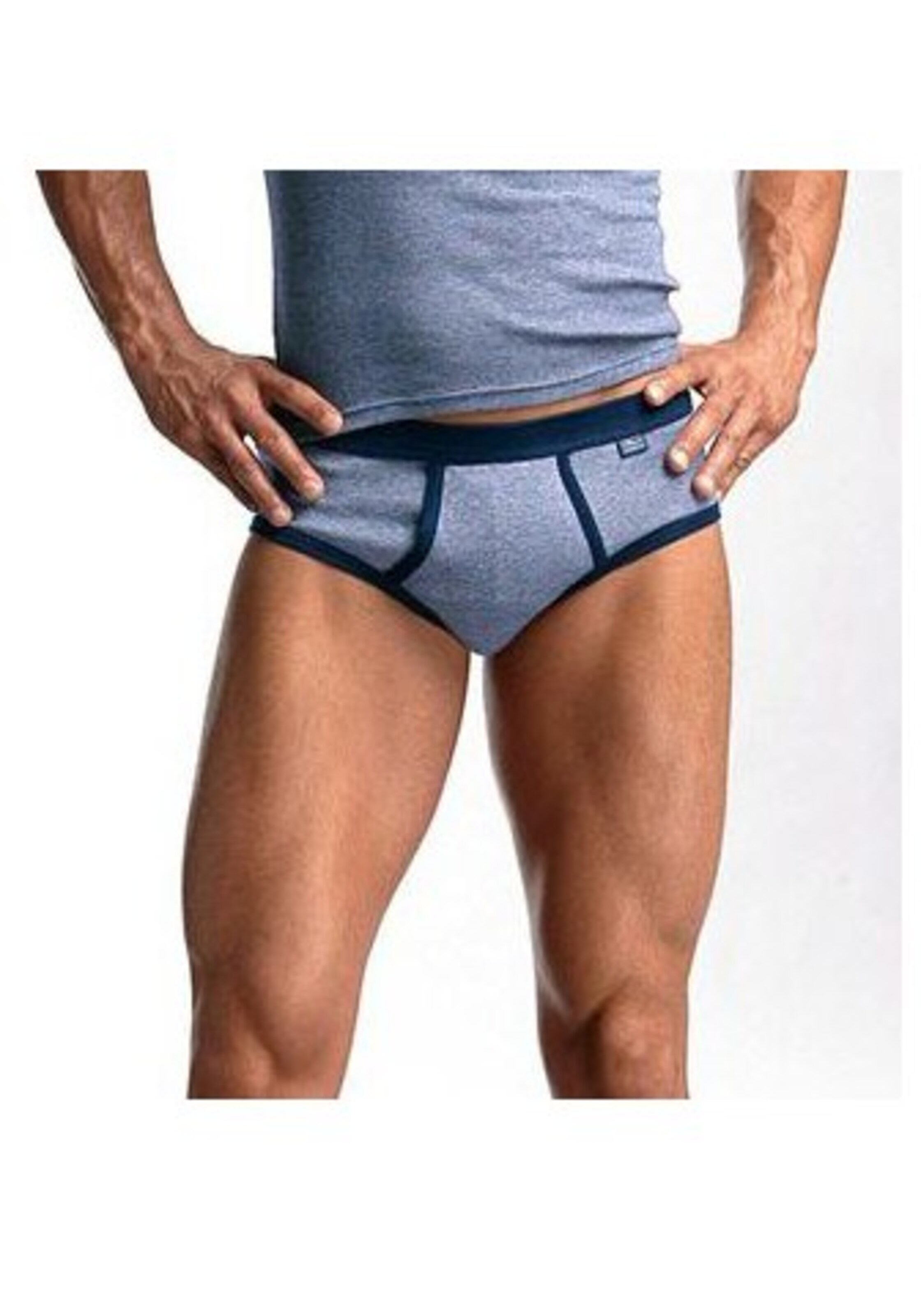 CLIPPER Panty in Grey: front