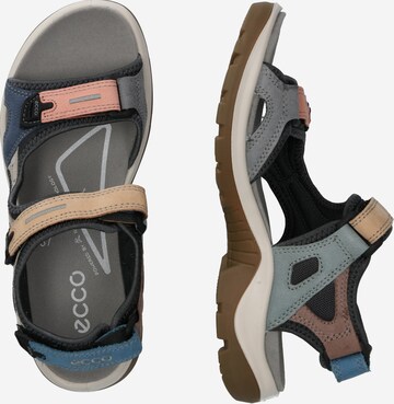 ECCO Trekking sandal 'Offroad' in Mixed colours