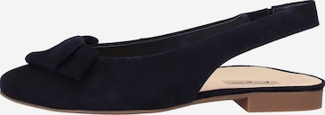 Paul Green Slingpumps in Blauw