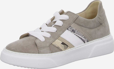 GABOR Sneakers in greige, Produktansicht