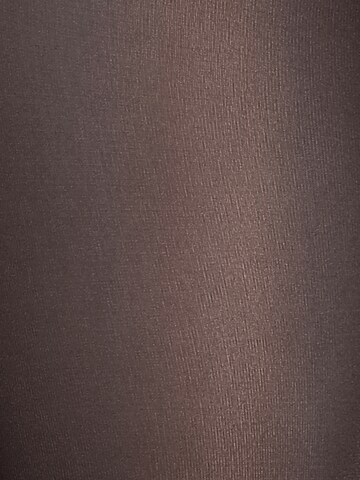 Wolford - regular Leotardos finos 'Velvet de Luxe 66 Comfort Tigh' en gris