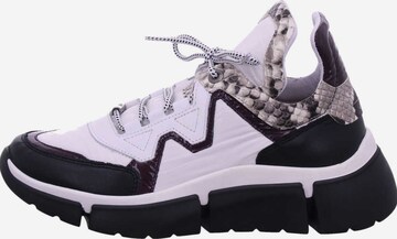 Cetti Sneakers in White