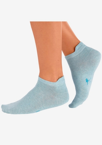 KangaROOS Дамски чорапи тип терлици в пъстро: отпред