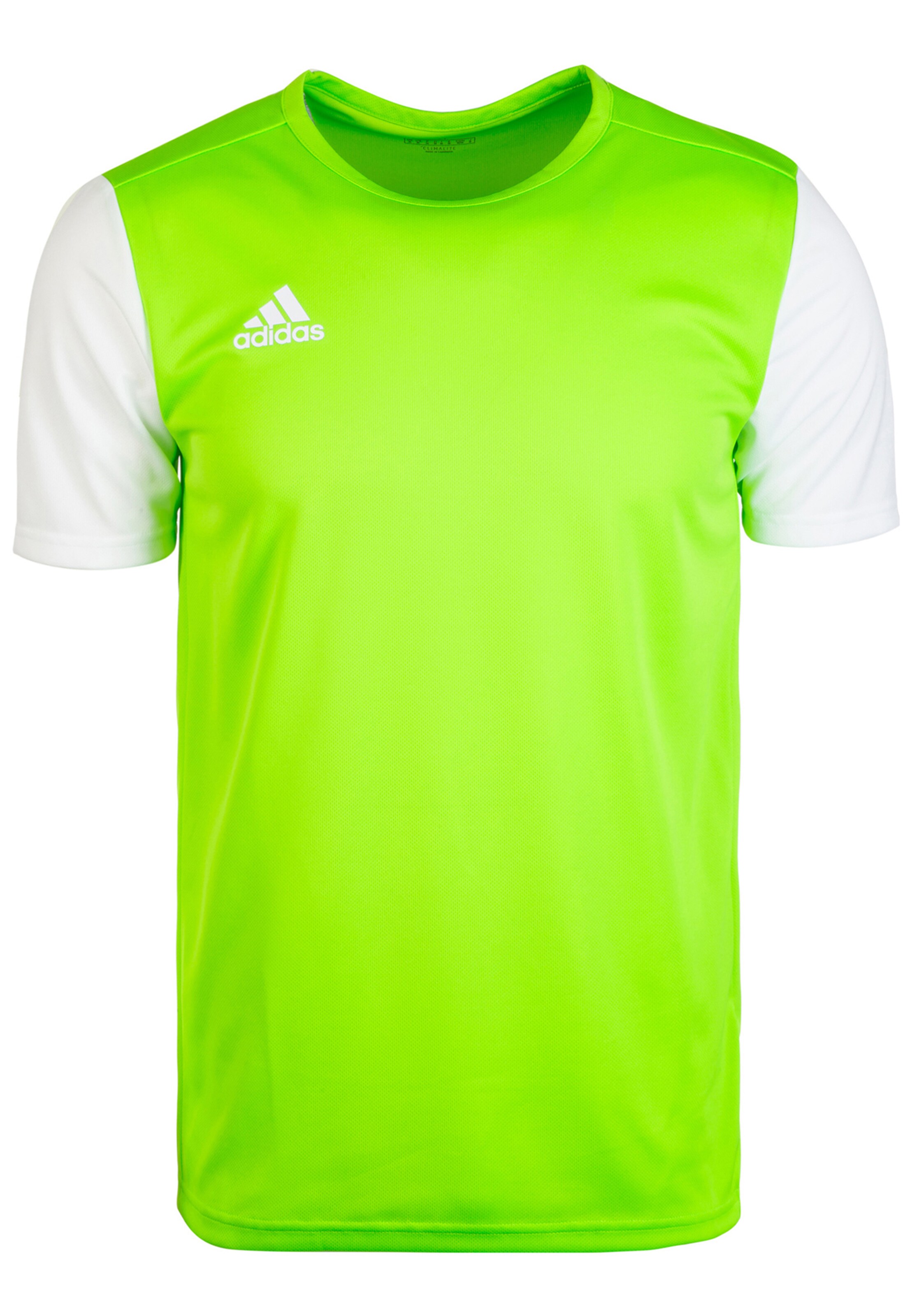 ADIDAS PERFORMANCE Trikot 'Estro 19' in Grün: Vorderseite