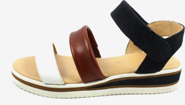 ARA Strap Sandals in Mixed colors