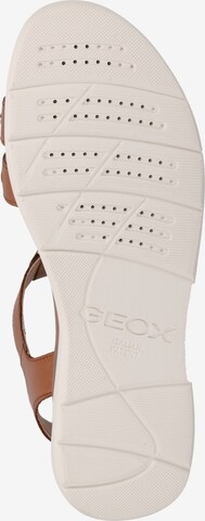 GEOX Sandals in Brown