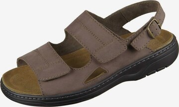 SOLIDUS Sandals in Brown: front