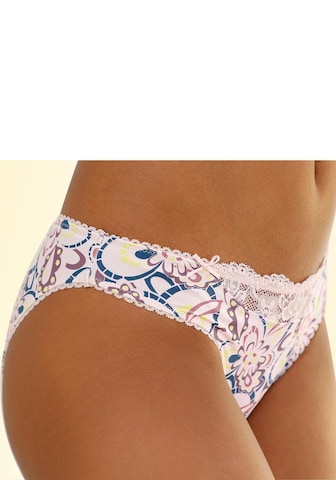 NUANCE Panty in Mixed colors