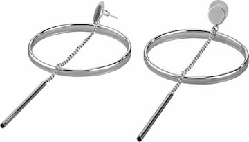 heine Earrings in Silver: front