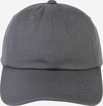 Flexfit Cap in Grey