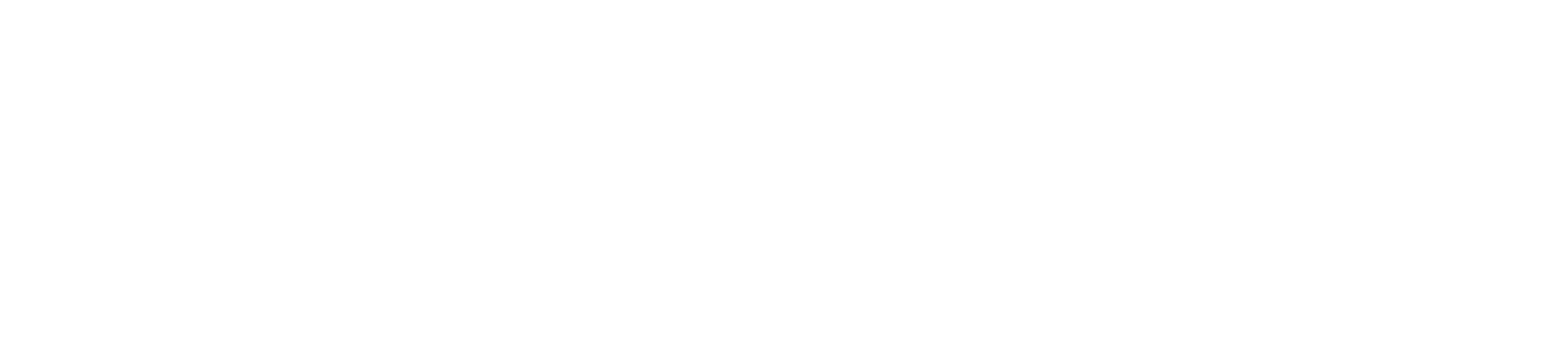 b.young Logo