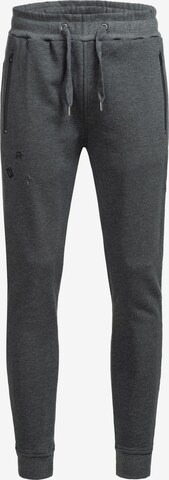Redbridge Slim fit Pants in Grey: front