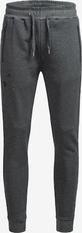 Redbridge Pants in Grey: front