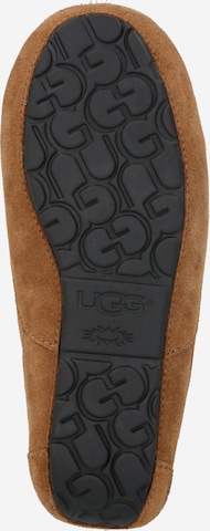 UGG Mokkasiinit 'Ascot' värissä ruskea